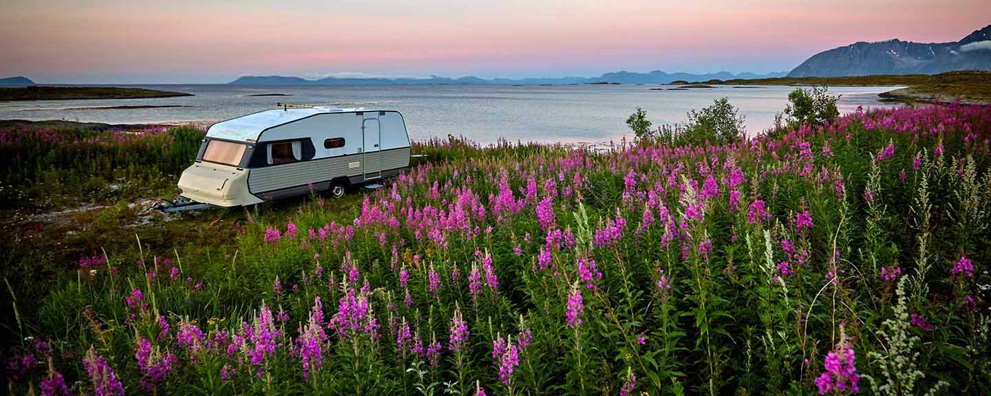 Husvagn vid vattnet med sommarblomster i förgrunden